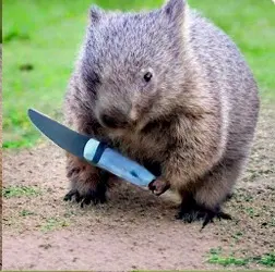 I'll get the dirty fecker.